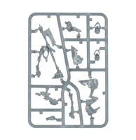 Age of sigmar Flesh-eater courts - Royal Decapitator 91-69