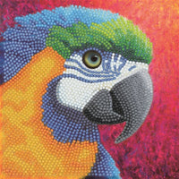 Crystal art - Diamond painting