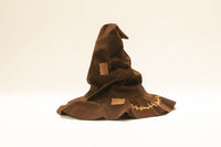 
              Harry Potter, 3D Modelbouw, Talking Sorting Hat
            