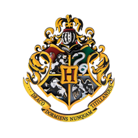
              Harry Potter Magnetisch wapen
            