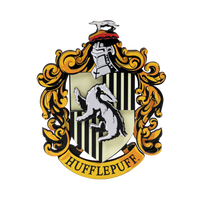 
              Harry Potter Magnetisch wapen
            