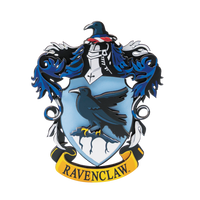
              Harry Potter Magnetisch wapen
            