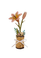 
              Inspirebox Flowers
            