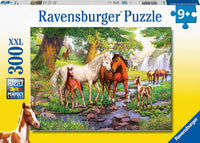 
              Ravensburger puzzel 9 jaar
            
