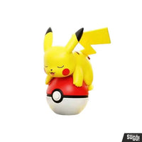 
              Pokemon zakje
            