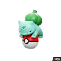 
              Pokemon zakje
            