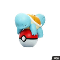 
              Pokemon zakje
            
