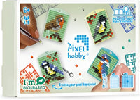 
              Pixel Theme box
            