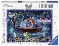
              PuzzeI 1000 stukjes
            