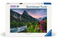 
              Puzzels 4000 stukjes
            