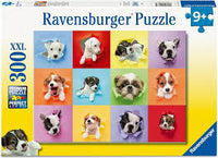 
              Ravensburger puzzel 9 jaar
            