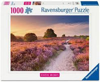 
              Puzzels 1000 stukjes
            