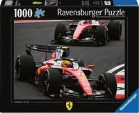 
              Div. PuzzeIs 1000 stukjes
            
