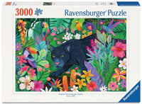
              Puzzels 3000 stukjes
            