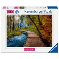 
              Puzzels 1000 stukjes
            