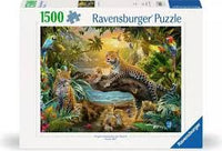 
              Puzzeels 1500 stukjes
            