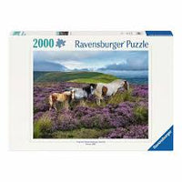 
              Puzzels 2000 stukjes
            