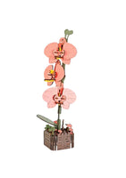 
              Inspirebox Flowers
            