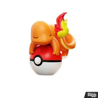 
              Pokemon zakje
            