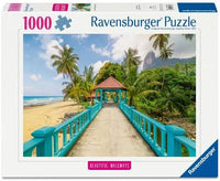 
              Puzzels 1000 stukjes
            