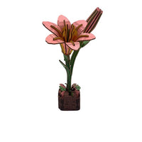 
              Inspirebox Flowers
            