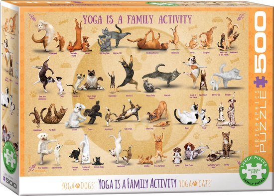 Yoga cats