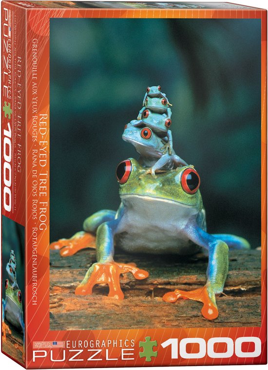 Red-Eyed Tree Frog