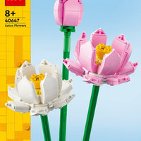 Lego Iconic Lotusbloemen 40647