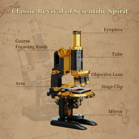 
              Pantasy Microscope
            