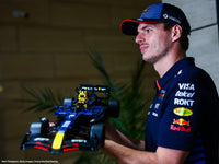 
              LEGO Red Bull Racing RB20 F1 42206
            