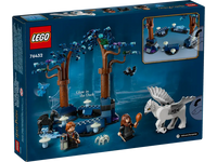 
              LEGO HP Verboden Bos: magische wezens 76432
            