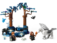 
              LEGO HP Verboden Bos: magische wezens 76432
            