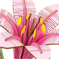 Pink Lily