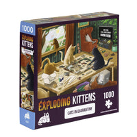 Exploding kittens puzzels
