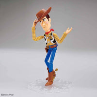 
              Toy Story 4 : Woody
            