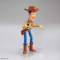 
              Toy Story 4 : Woody
            