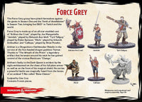 
              D&D Collector's Series Miniatures: Force Grey
            