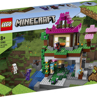 LEGO Minecraft De Trainingsplaats - 21183