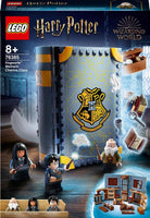 
              LEGO HP Charms Class 76385
            