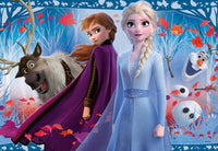 
              Disney Frozen 2 - Twee puzzels - 12 stukjes
            